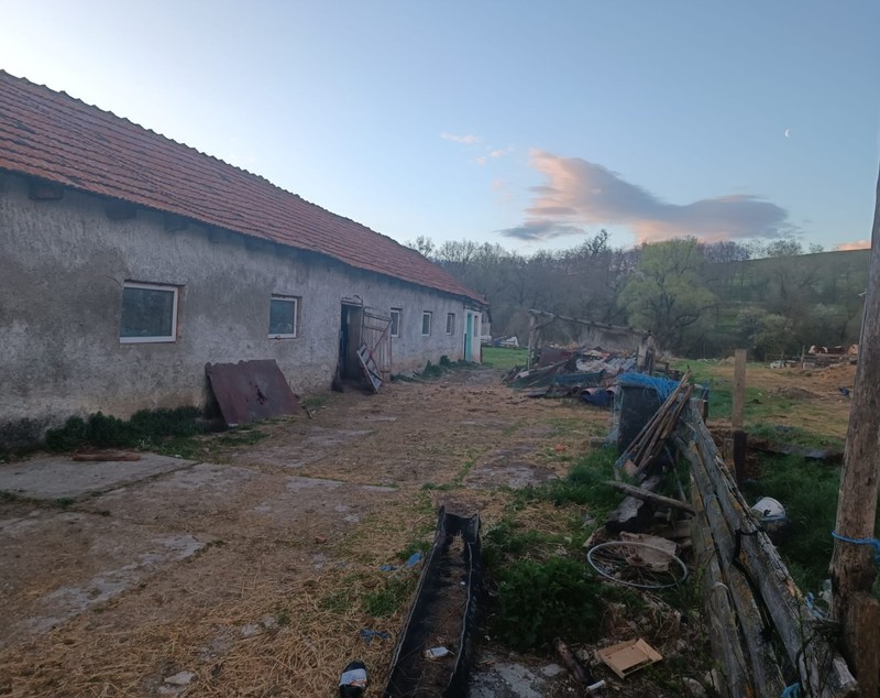 Copil ținut într-o cuşcă, bătut și obligat să muncească la o stână din Braşov, timp de patru ani. FOTO