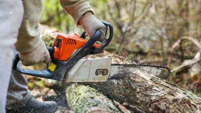 Romsilva vrea bodycamuri pentru pădurari. Achiziția aparatelor este estimată la 29,2 milioane de lei