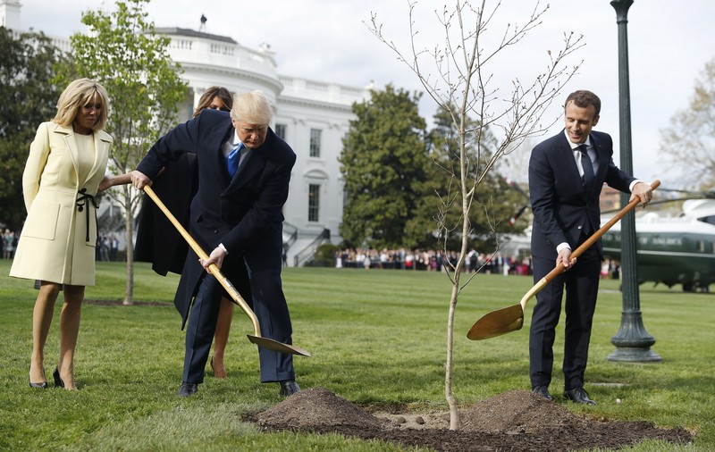 Ce s-a întâmplat cu stejarul plantat de Trump și Macron pe peluza Casei Albe