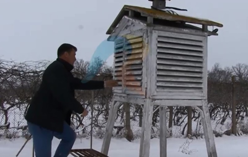 VIDEO. Ploaia înghețată pune în pericol recolta de fructe și producția de vin din România