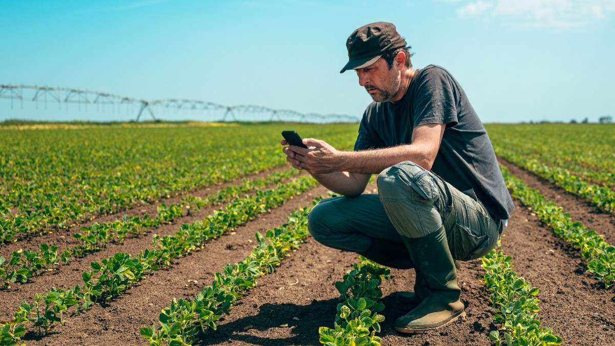 Imaginea înfățișează un fermier ghemuit într-un câmp agricol cu culturi verzi, care folosește un telefon mobil sub un cer senin, având în fundal un sistem de irigații.