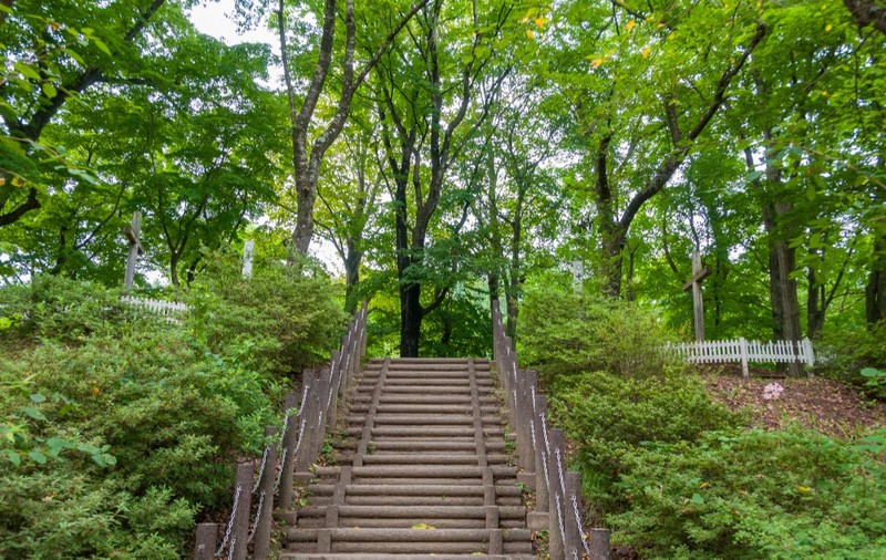 „Mormântul lui Iisus” din Japonia. Mai multe cruci uriașe din lemn sunt montate în pădure