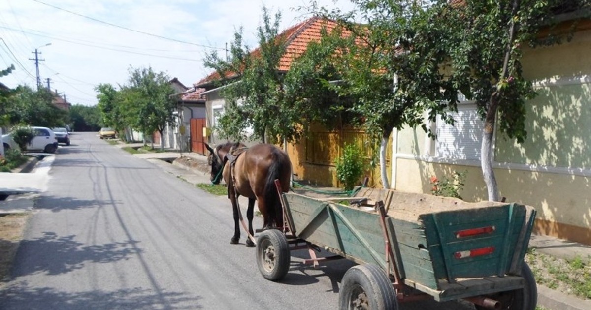 Arhiva foto