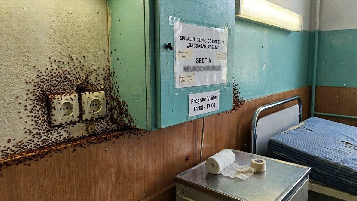 Intr-o sectie de recuperare din spital sunt plosnite pe pereti.