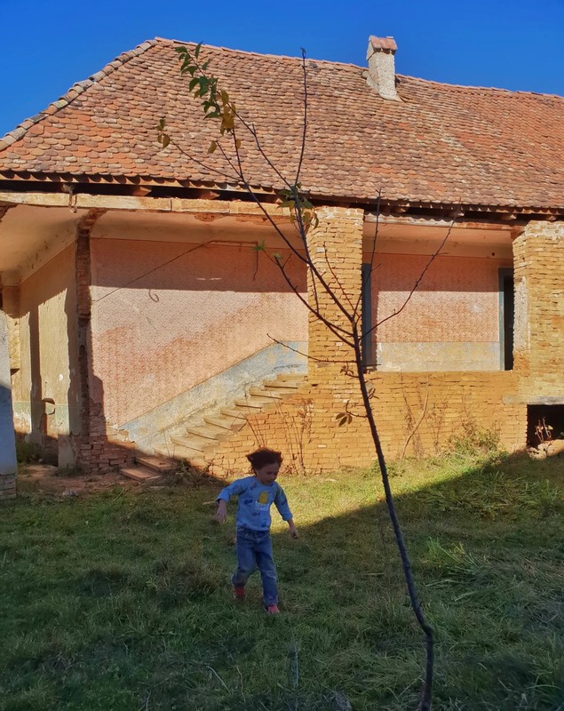 Cum arată casa Danei Rogoz de la Viscri. Actrița a publicat primele imagini cu locuința aflată încă în renovare. „Mai e mult de lucru”
