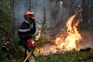 700 de hectare de vegetație sunt afectate de incendiul din sudul Franței. | Foto: Profimedia