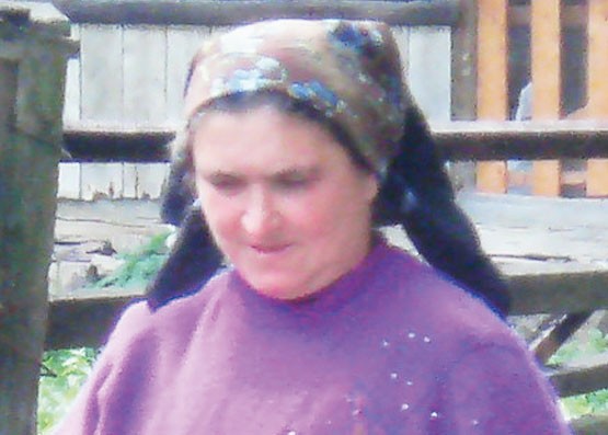 Arhiva foto