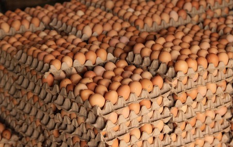 Criză de ouă în România. Retailerii acuză producătorii că profită de gripa aviară din Germania și exportă marfa, producătorii acuză oengiștii