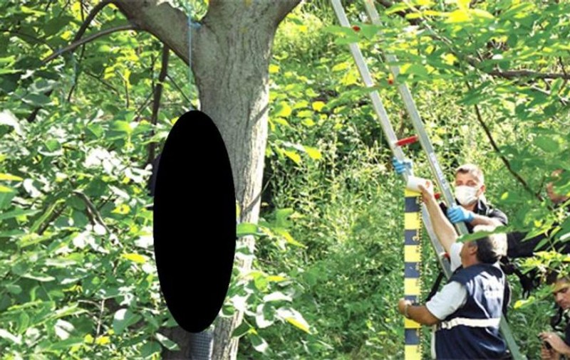 Scheletul unui bărbat spânzurat de mai bine de un an a fost descoperit într-o pădure! Imaginea de coșmar descoperită de localnici
