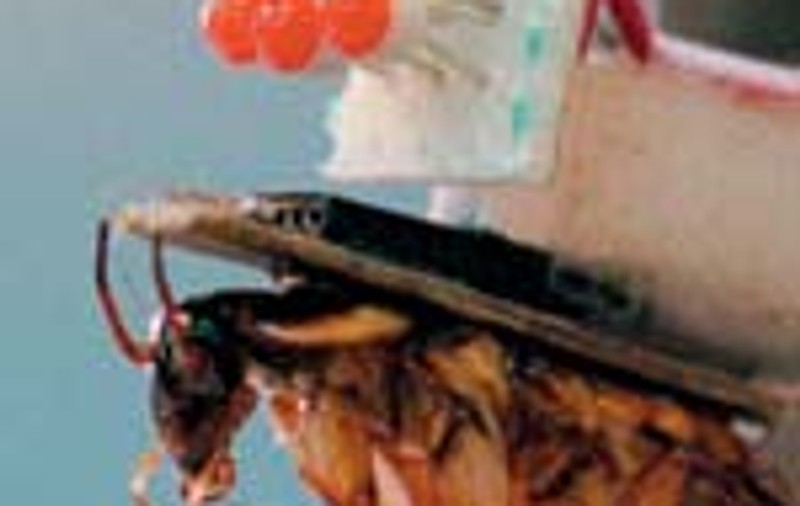 Armata de insecte cibernetice