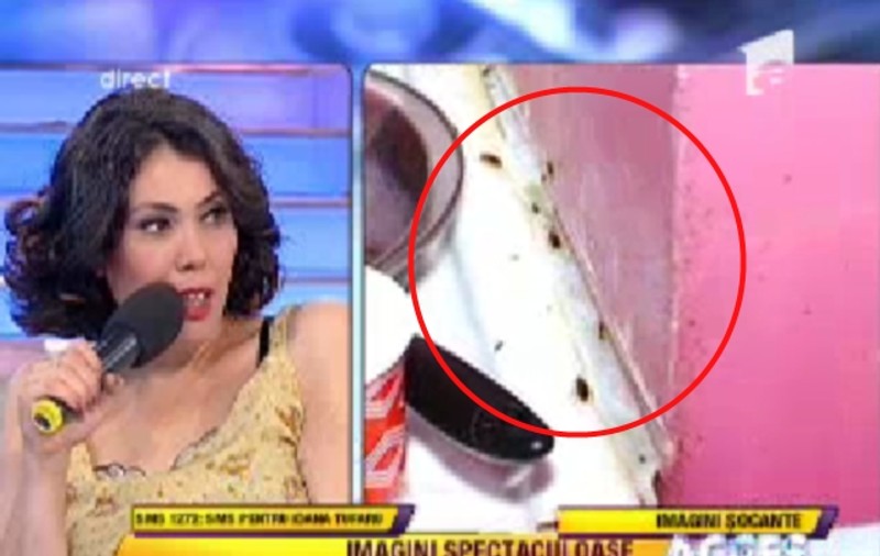 ŞOCANT! Ioana Tufar, fiica Andei Călugăreanu: "DA, AM MILIOANE DE GÂNDACI ÎN CASĂ!" | FOTO