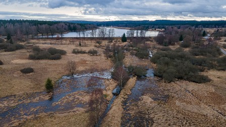 This handout photo received on February 11, 2025 from AOPK CR and taken on February 3, 2025 shows a protected wetland area shaped by beavers in Vesin, Padrtske rybniky, Central Bohemia south of Prague, Czech Republic. Beavers have saved Czech taxpayers' money as they stole a march on the state in creating a planned wetland before excavators got the green light, a conservationist said on February 11, 2025. Conservationists wanted to reduce sedimentation and curb sour water leaving the ponds as both threatened the critically endangered crayfish living in the river below. The project drafted in 2018 had a building permit but was delayed by talks over the land. But beavers did not care and started doing their natural job by building at least four dams.,Image: 962368707, License: Rights-managed, Restrictions: RESTRICTED TO EDITORIAL USE - MANDATORY CREDIT "AFP PHOTO / Bohumil FISER / AOPK CR / HANDOUT / " - NO MARKETING NO ADVERTISING CAMPAIGNS - DISTRIBUTED AS A SERVICE TO CLIENTS, *** HANDOUT image or SOCIAL MEDIA IMAGE or FILMSTILL for EDITORIAL USE ONLY! * Please note: Fees charged by Profimedia are for the Profimedia's services only, and do not, nor are they intended to, convey to the user any ownership of Copyright or License in the material. Profimedia does not claim any ownership including but not limited to Copyright or License in the attached material. By publishing this material you (the user) expressly agree to indemnify and to hold Profimedia and its directors, shareholders and employees harmless from any loss, claims, damages, demands, expenses (including legal fees), or any causes of action or allegation against Profimedia arising out of or connected in any way with publication of the material. Profimedia does not claim any copyright or license in the attached materials. Any downloading fees charged by Profimedia are for Profimedia's services only. * Handling Fee Only ***, Model Release: no