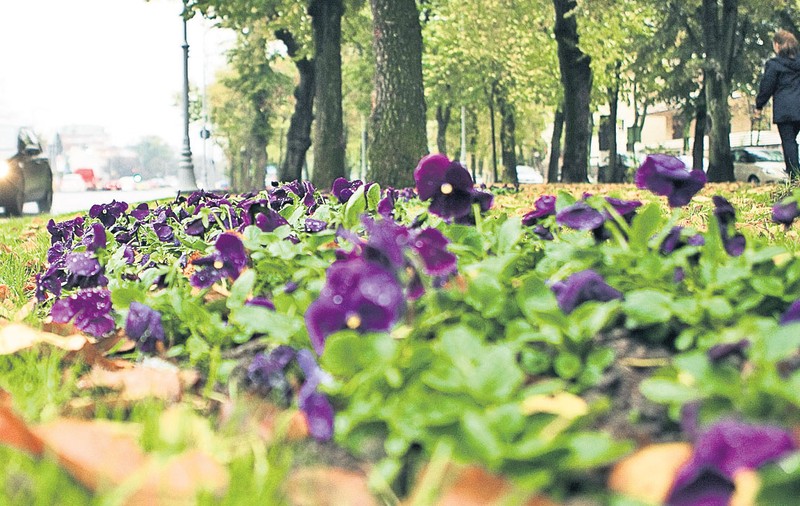 Bucureștiul, capitala amenajărilor costisitoare | EXCLUSIV
