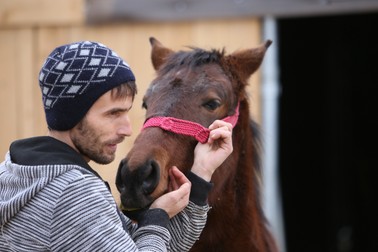 Ionuț o mângâie pe Carina și vorbește cu drag despre munca cu animalele