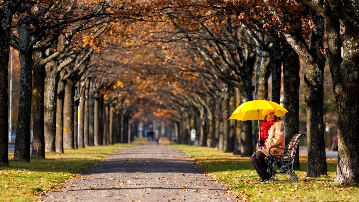 VIDEO Prognoza meteo pentru următoarele două săptămâni. Cum va fi vremea