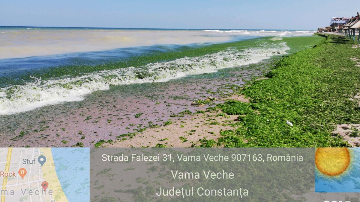 Litoralul este plin de alge după furtuna din ultimele zile de la Marea Neagră