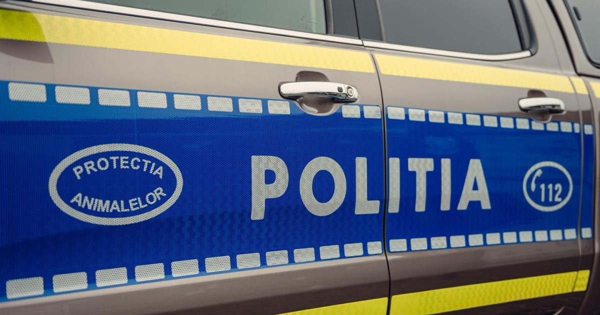masina de politie