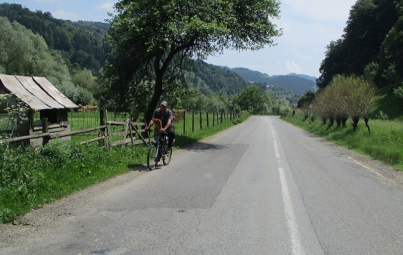 Cățelușul biciclist Zorică adoră să fie plimbat GALERIE FOTO