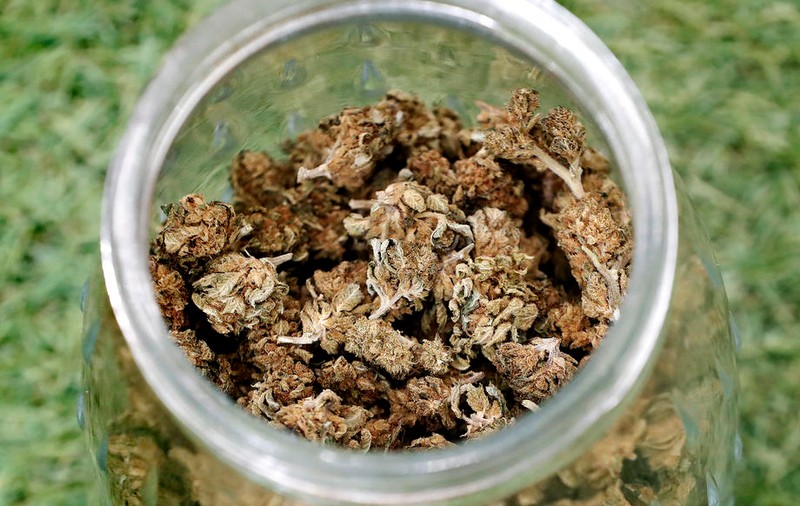 Român arestat în Franța pentru trafic de droguri. Aproape 400 de kg de cannabis ascuns în salată