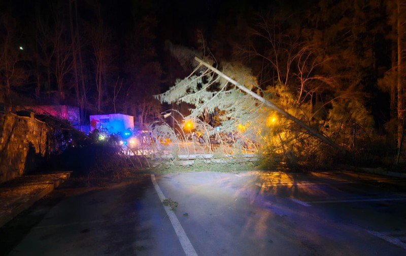 Telegondola și telecabina din Sinaia, blocate de vijelie. Peste 20 de copaci au fost doborâți de vânt în stațiune