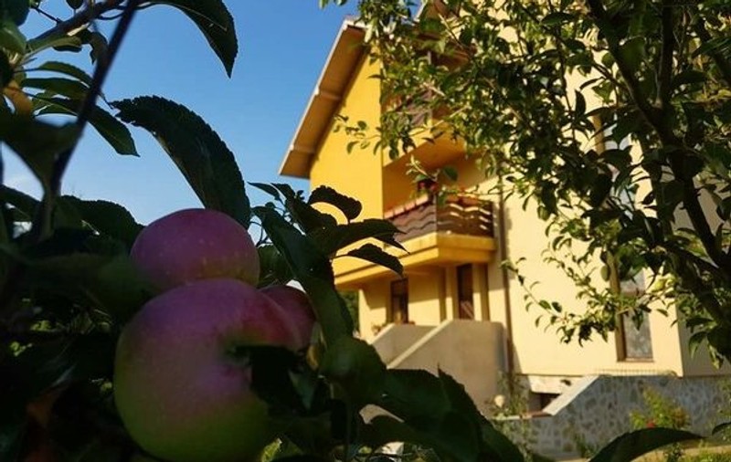 Aceasta este cea mai scumpă casă de vânzare din județul Suceava. Se vinde cu 750.000 de euro