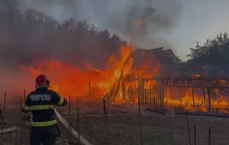 50 de pui și 30 de miei au murit într-un incendiu puternic în Bistrița-Năsăud