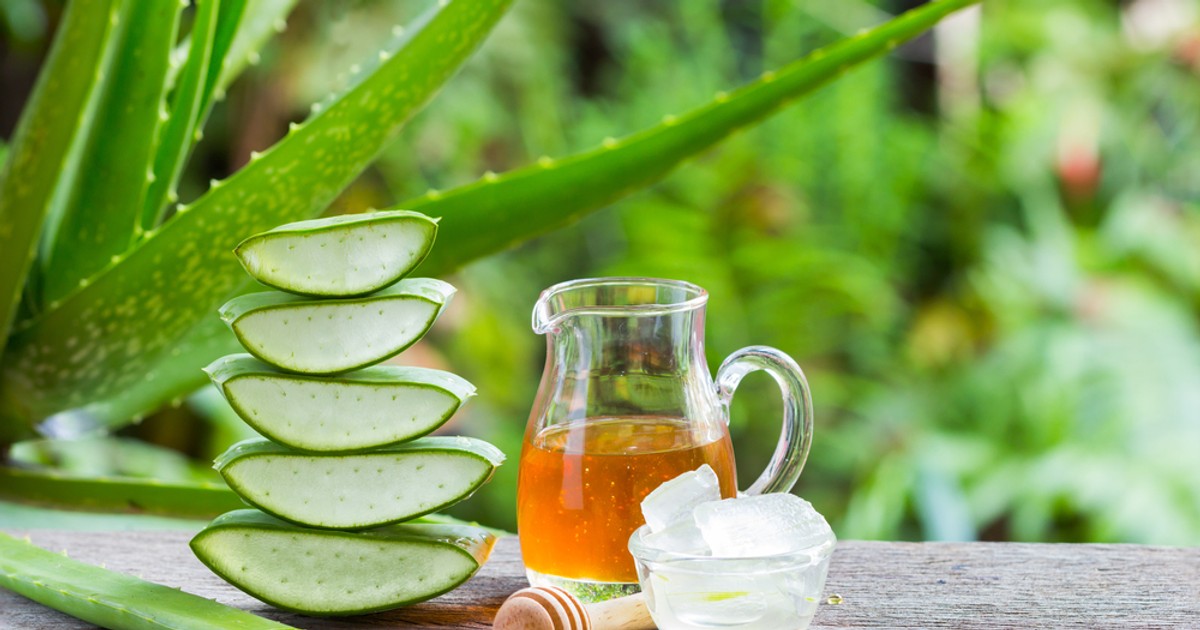 Aloe Vera - beneficii, utilizari
