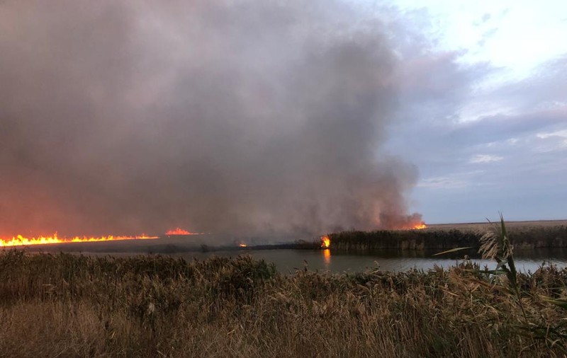 VIDEO | Incendiu de proporții în Delta Dunării. Au ars 700 de hectare de vegetație din zona protejată