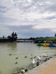 Arhiva foto