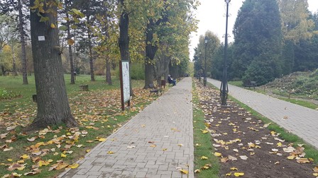 Grădina Botanică