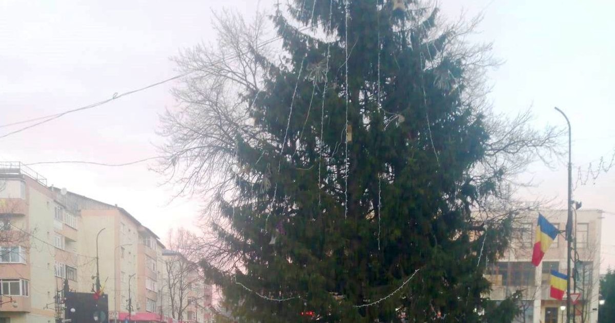 Brad de Craciun in intersectie, in orasul Panciu, din Vrancea. Foto: Vrancea 24