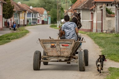 Căruța este mijlocul de transport pe care oamenii săraci din Dăișoara îl folosesc atunci când vor să-și ducă copiii la doctorul din Ungra