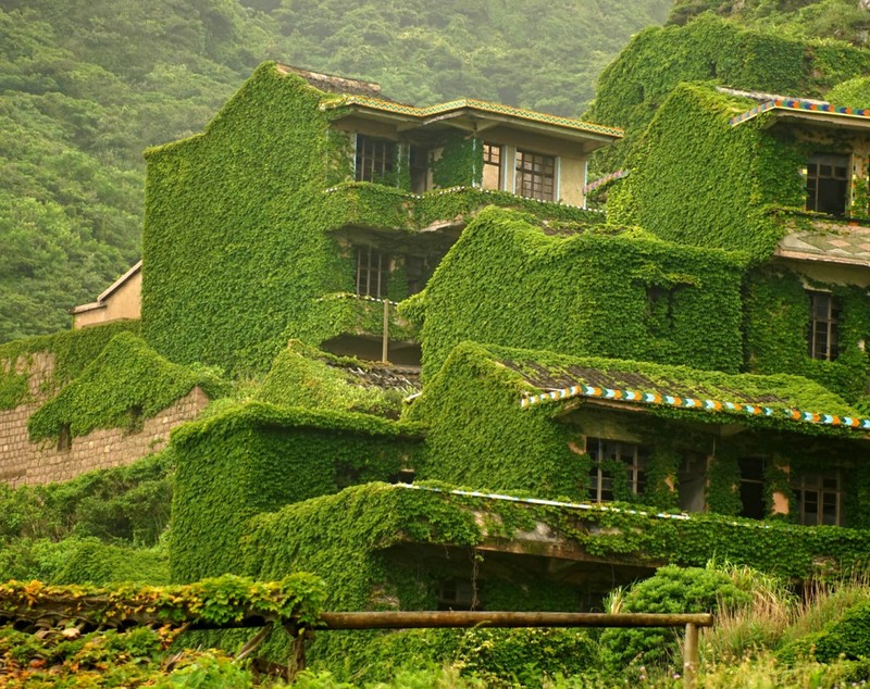 Un sat abandonat din China a fost înghițit de natură: vegetația a acoperit tot I VIDEO