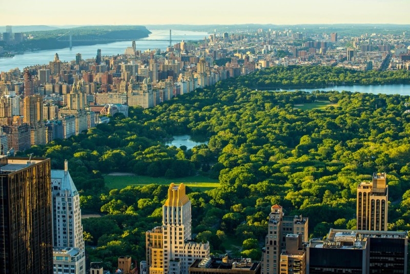 Central Park