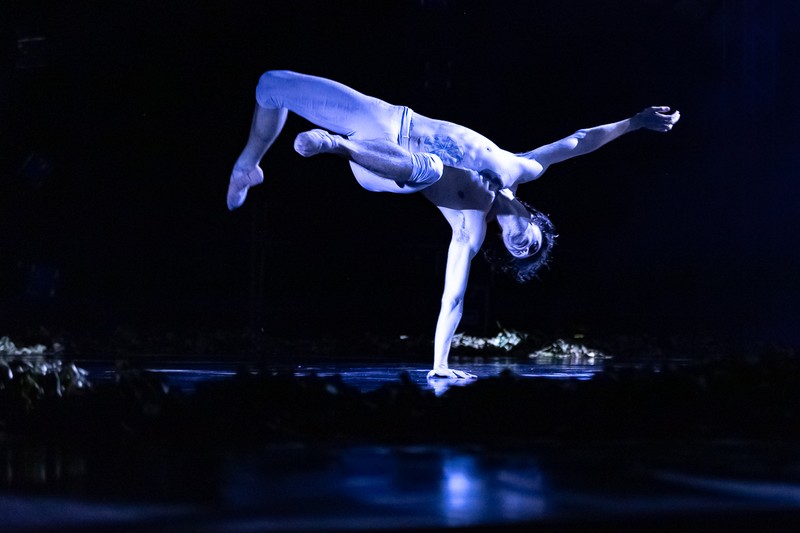 Sergei Polunin, în timpul reprezentanției de la Bonțida