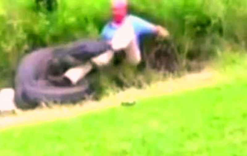 Secundele la graniţa cu moartea: lupta cumplită cu un aligator | VIDEO ŞOCANT