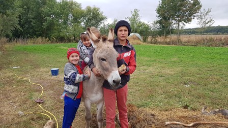 Florică își plimbă surorile pe spinarea măgarului Costică