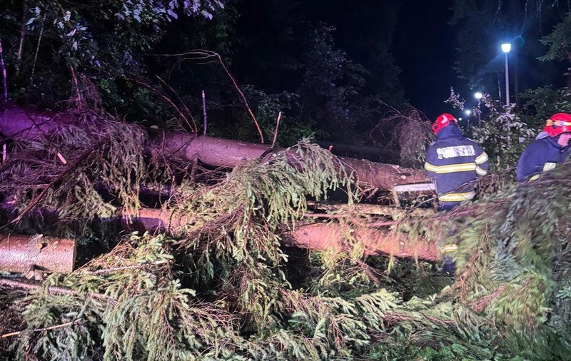 Un bărbat a murit strivit de un copac în timpul Concursului de Alergare Montană „Bucovina Ultra Rocks”, din cauza furtunii