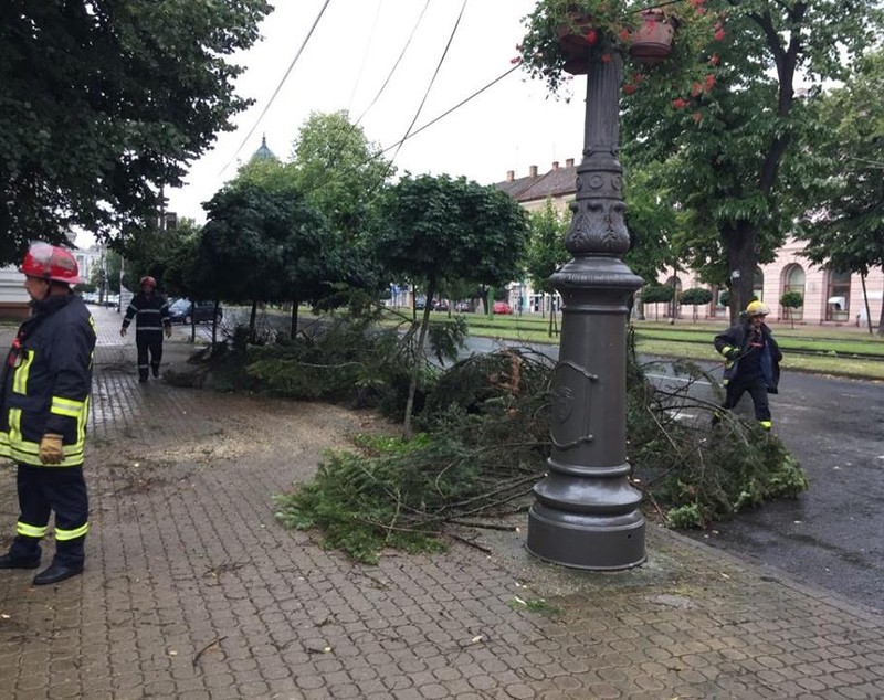 FOTO / Acoperişuri smulse şi copaci doborâţi de vânt, la Arad. S-a înregistrat și un deces
