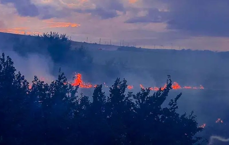 Incendiu puternic de vegetație în Tulcea. Focul a cuprins aproximativ 10 hectare de stuf