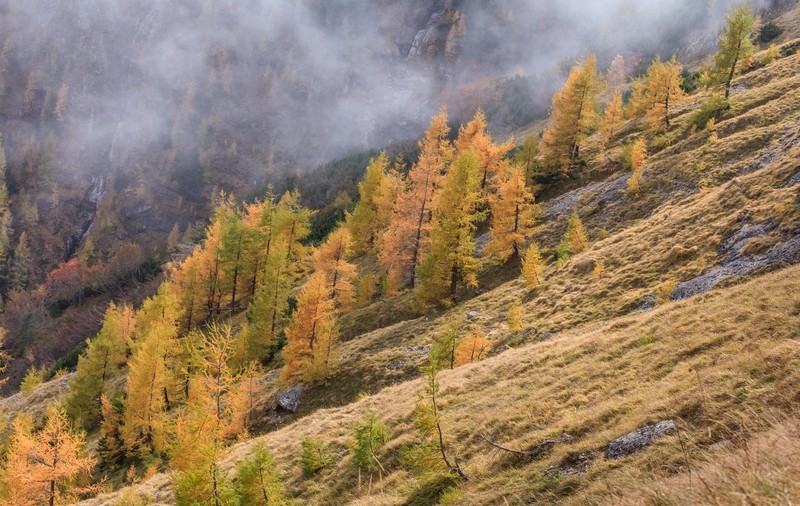 Opt turiști blocați în Masivul Bucegi, salvați de jandarmi după ce nu au mai putut să coboare