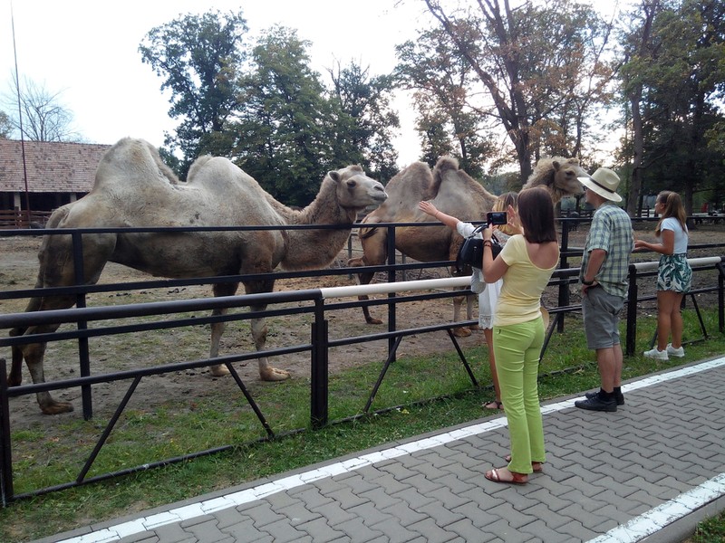 Obiective turistice in Targu Mures - Gradina Zoologica