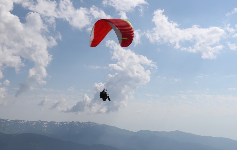 Un parapantist a fost atacat în aer de o acvilă de munte, în Franţa. Pasărea de pradă l-a rănit grav la gât
