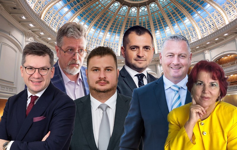 Doctorii din Parlament. Care sunt domeniile „aprofundate” de politicieni