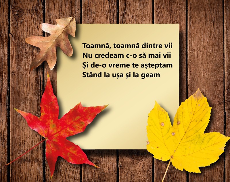 Poezii de toamnă - cele mai frumoase poezii de citit în această toamnă