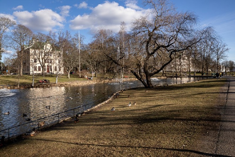 Parcul Langpro din sudul Stockholmului, imaginea pe care o vede Gabriela Melinescu de la geamul său