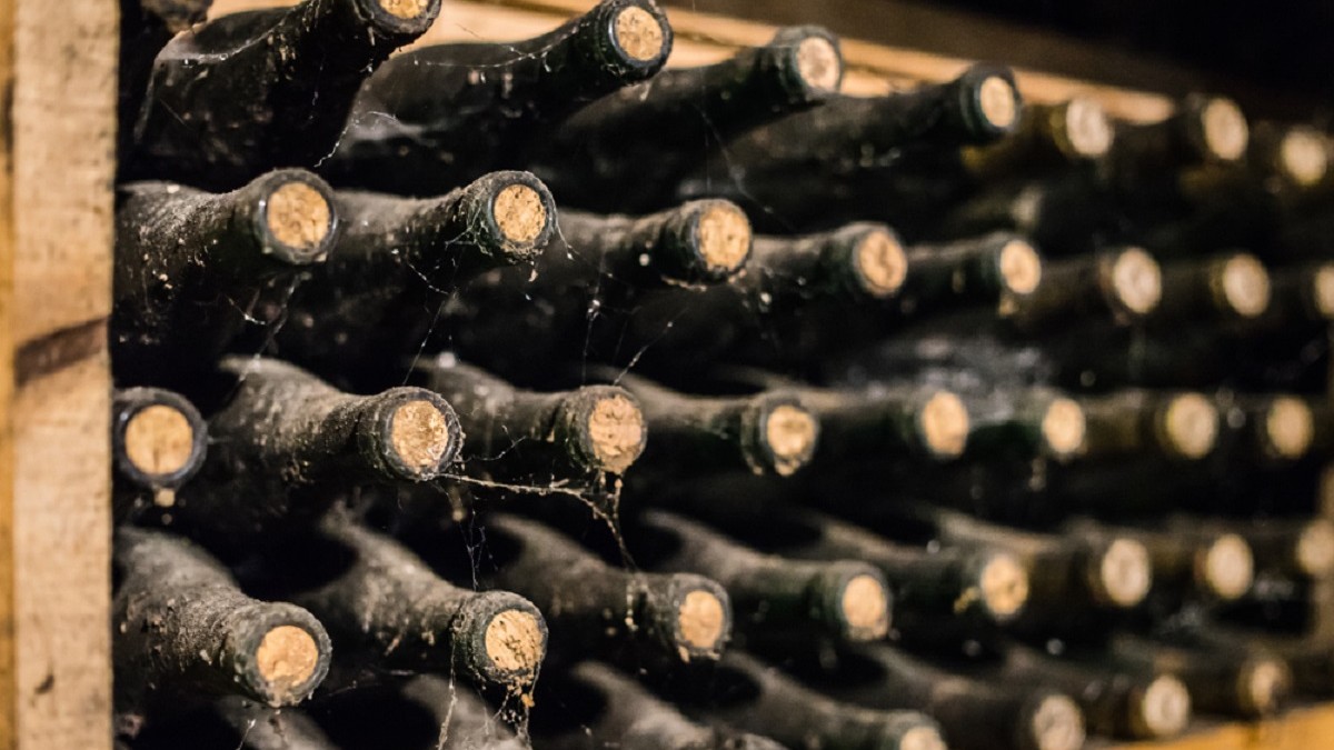 Cum se învecheşte vinul - Imagine cu sticle de vin acoperite de praf, aşezate orizontal pe un raft, pentru învechire