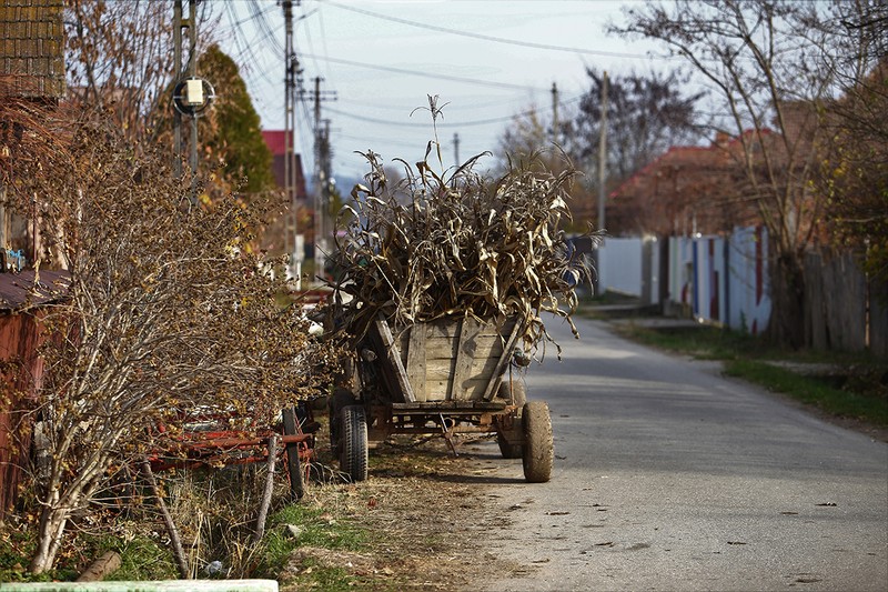 2.000 de lei reprezintă un salariu bun pentru oamenii din Băbeni