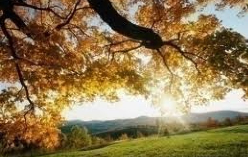 Prognoza meteo. Cum va fi vremea în următoarele două săptămâni