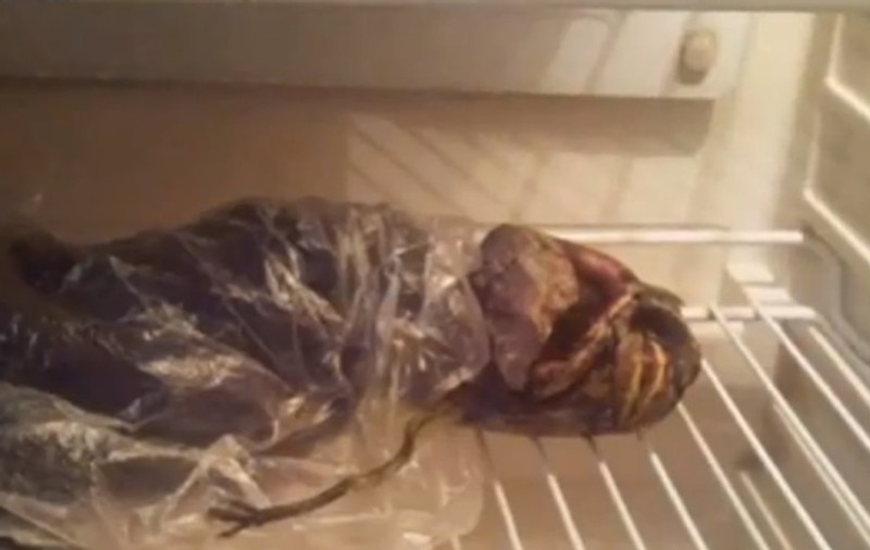 Video | O nouă apariţie a unui extraterestru? Ziarele şi buletinele de ştiri vuiesc!